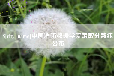 涿州中国消防救援学院录取分数线公布