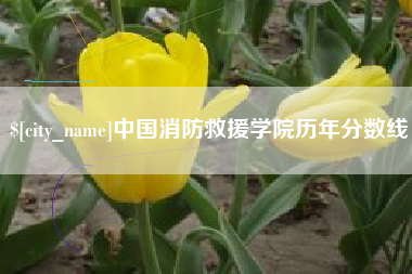 涿州中国消防救援学院历年分数线