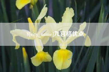 涿州九宫格优点
