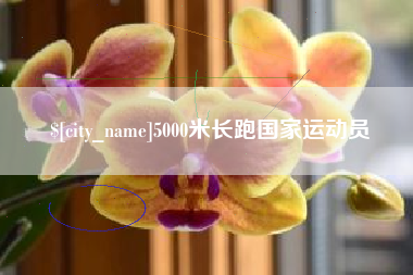 涿州5000米长跑国家运动员