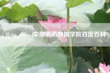 涿州中国消防救援学院百度百科