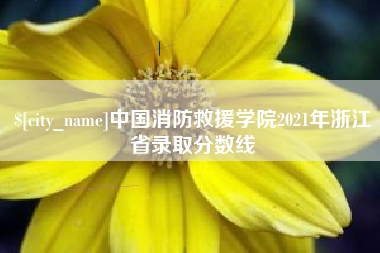 涿州中国消防救援学院2021年浙江省录取分数线