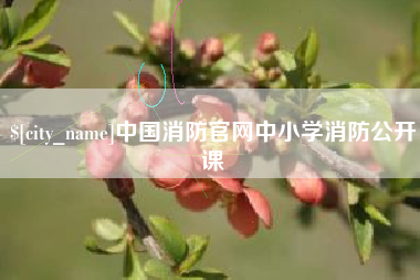 涿州中国消防官网中小学消防公开课