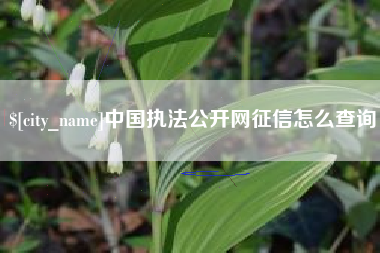 涿州中国执法公开网征信怎么查询