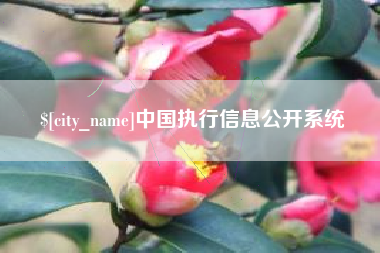 涿州中国执行信息公开系统