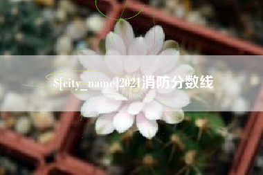 涿州2021消防分数线