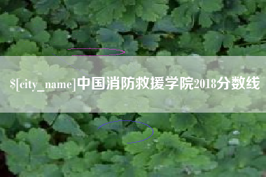涿州中国消防救援学院2018分数线