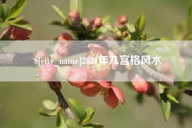 涿州2021年九宫格风水