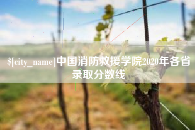涿州中国消防救援学院2020年各省录取分数线