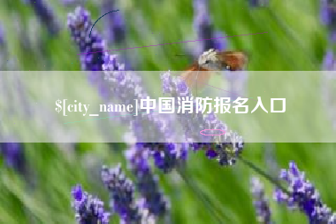 涿州中国消防报名入口