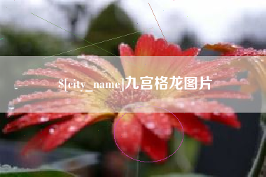涿州九宫格龙图片