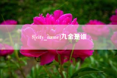 涿州九金是谁