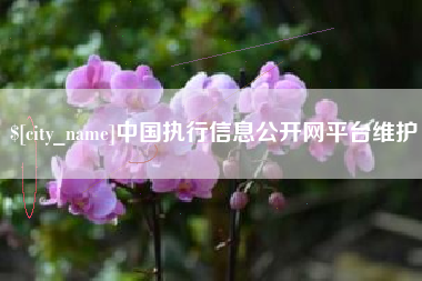 涿州中国执行信息公开网平台维护