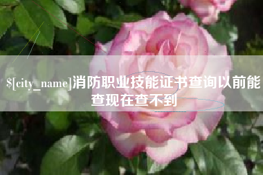 涿州消防职业技能证书查询以前能查现在查不到