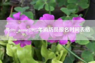 涿州2025年消防员报名时间表格