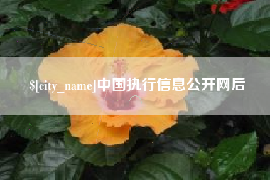 涿州中国执行信息公开网后