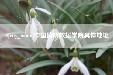 涿州中国消防救援学院具体地址