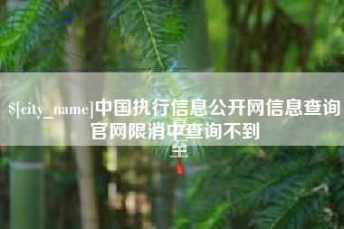 涿州中国执行信息公开网信息查询官网限消中查询不到