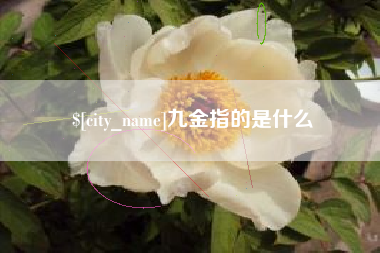涿州九金指的是什么