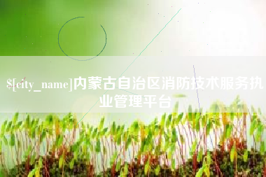 涿州内蒙古自治区消防技术服务执业管理平台