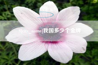 涿州我国多少个金牌