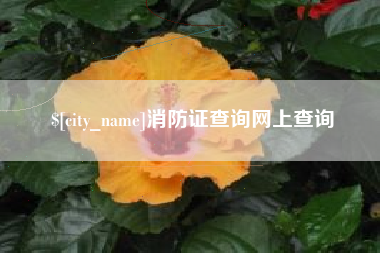 涿州消防证查询网上查询
