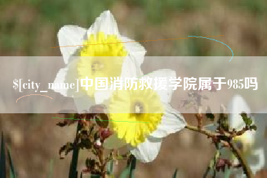 涿州中国消防救援学院属于985吗