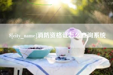 涿州消防资格证怎么查询系统