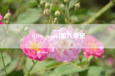 涿州第九金是