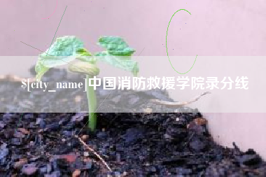 涿州中国消防救援学院录分线
