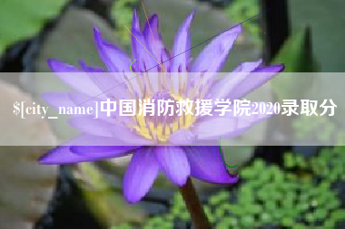 涿州中国消防救援学院2020录取分