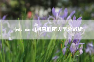 涿州河南消防大学分数线