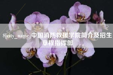 涿州中国消防救援学院简介及招生章程指挥部