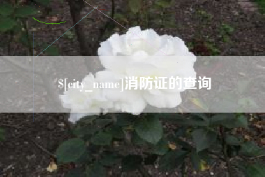 涿州消防证的查询