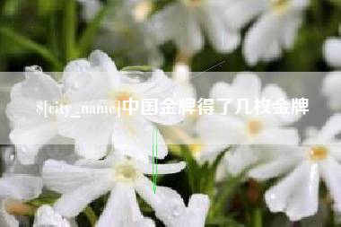 涿州中国金牌得了几枚金牌
