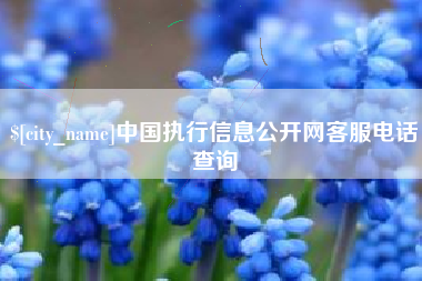 涿州中国执行信息公开网客服电话查询
