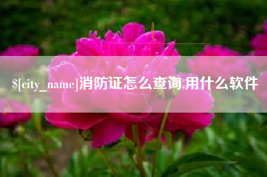 涿州消防证怎么查询,用什么软件