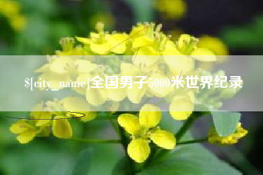 涿州全国男子5000米世界纪录