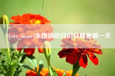 涿州全国消防日的日期是哪一天