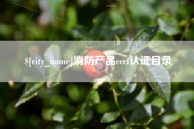 涿州消防产品cccf认证目录