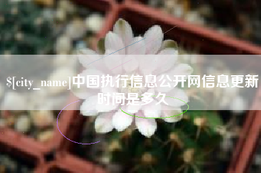 涿州中国执行信息公开网信息更新时间是多久