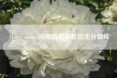 涿州河南消防学校招生分数线