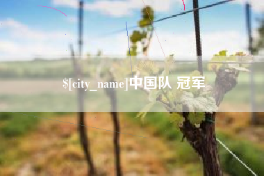 涿州中国队 冠军
