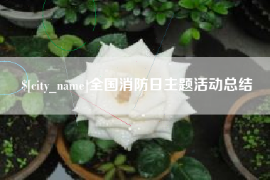 涿州全国消防日主题活动总结