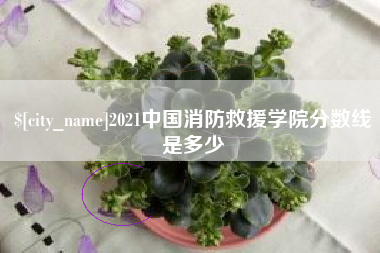 涿州2021中国消防救援学院分数线是多少