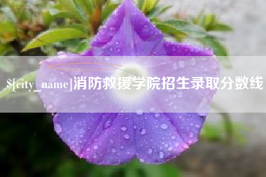 涿州消防救援学院招生录取分数线