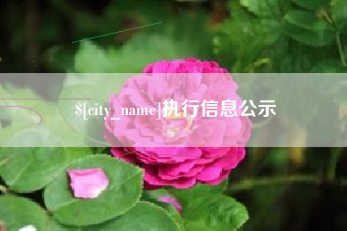 涿州执行信息公示