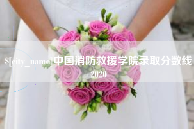 涿州中国消防救援学院录取分数线2020