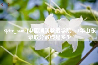 涿州中国消防救援学院2021年山东录取分数线是多少