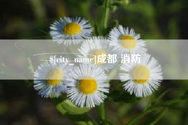 涿州成都 消防